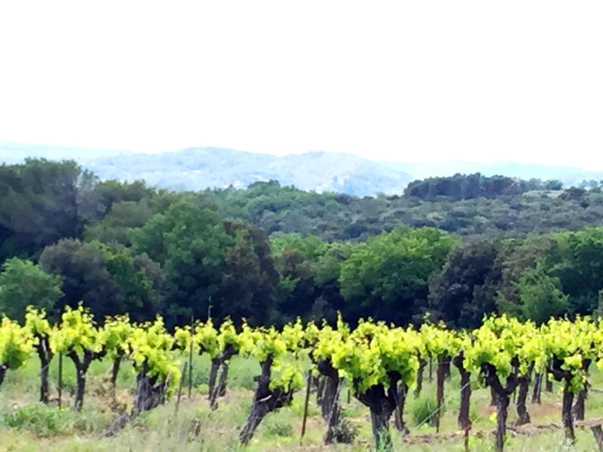 Le Clos Soleilhan Saint-Gervais  Zewnętrze zdjęcie